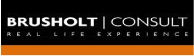 Brusholt Consult Logo